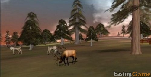 Deer Hunter 5 Tracking Trophies game cheats